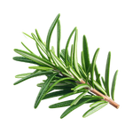 ローズマリーオイル