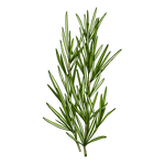 シトロネラオイル