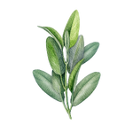 クラリセージオイル