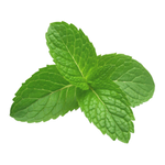 ペパーミントオイル